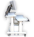 Dual Adjustable Workstation